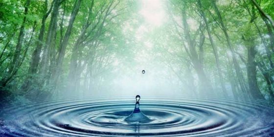 Water