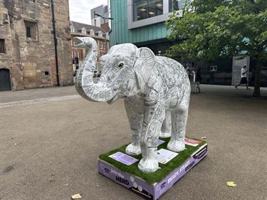 Elephant - remembering leicester