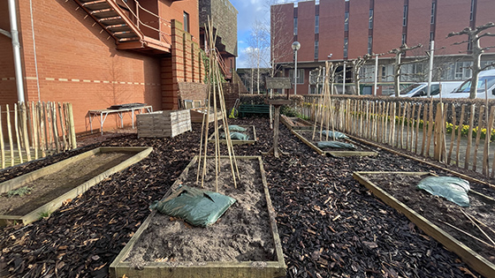 allotment-main