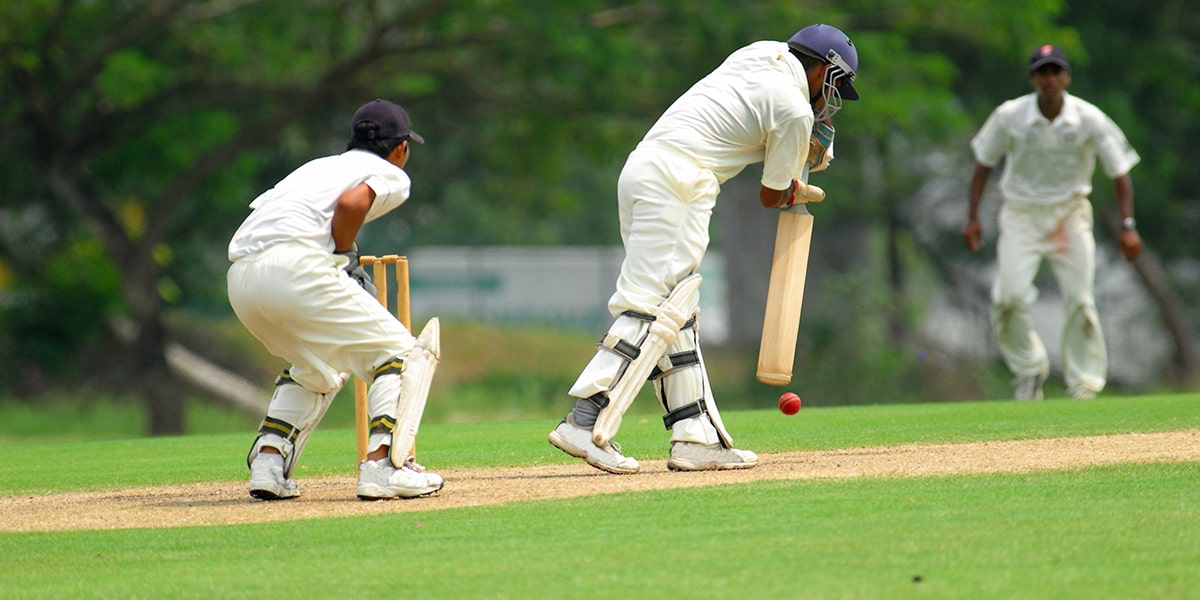 cricket-management-banner