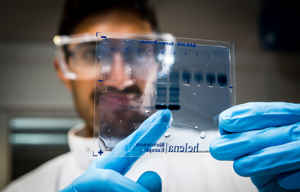 Student looking at a microscope slide